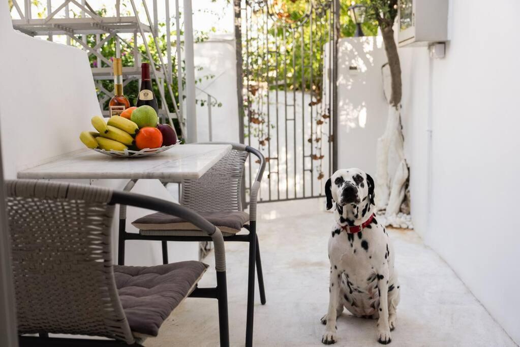 Villa Artemis Cycladic Charmed ! Atenas Exterior foto